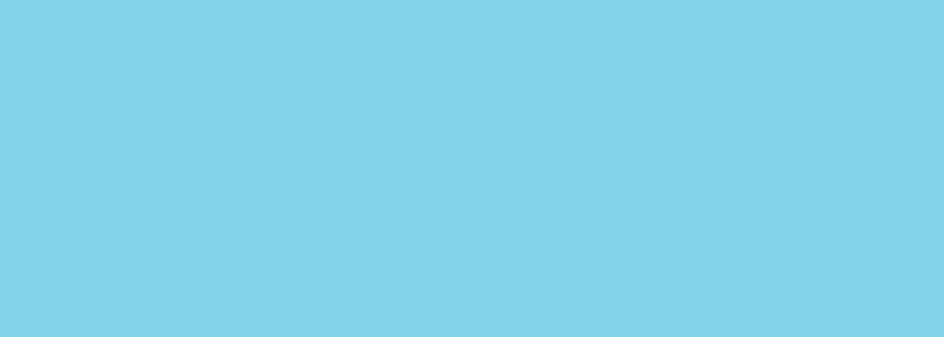 Bos Basic banner
